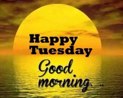 happy Tuesday.jpg