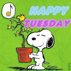 Happy-Tuesday.jpg