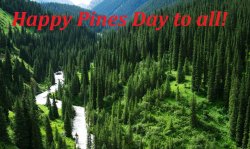 Pines Day.jpg