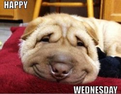 Happy-Wednesday.jpg