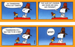 Comic Snoopy & Woodstock.gif