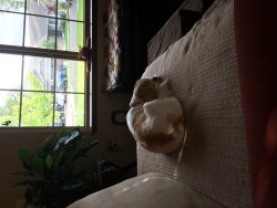 IMG_0767.JPG