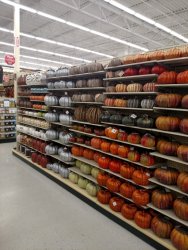 IMG_20170701_134636618 (Medium).jpg
