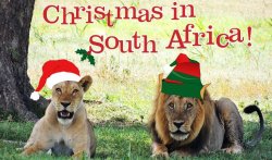 Christmas in South Africa.jpg