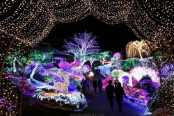 Christmas in South Korea.jpg