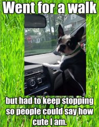 20170618_175842.jpg