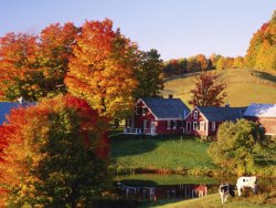 vermont-foliage.jpg