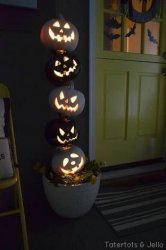 IMG_4838.JPG
