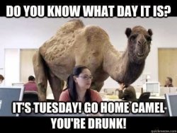 Happy Tuesday.jpg