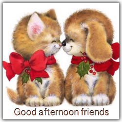 IMG_4875.PNG