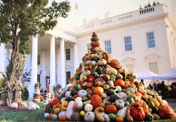 white-house-at-thanksgiving.jpg