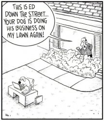 Lawn Humor.jpg