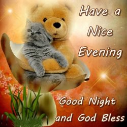 Have a Nice Evening.jpg