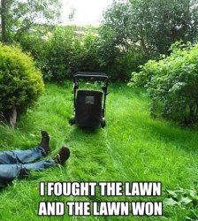 Yard Work.jpg