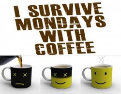 Monday Survival.jpg