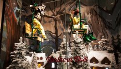 Christmas Window Display.jpg