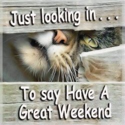 Have-A-Great-Weekend.jpg