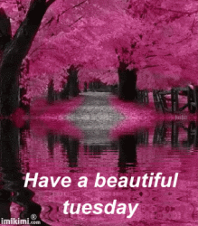 Beautiful Tuesday.gif