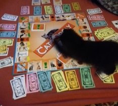 thumbnail_IMG_0844.jpg