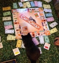 thumbnail_IMG_0981.jpg
