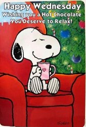 6eecce42a2b27216f390178809031f6f--happy-wednesday-quotes-snoopy-quotes.jpg