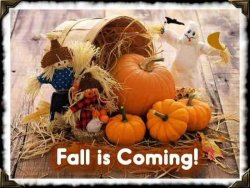 Fall Is Coming.jpg Fall Is Coming.jpg