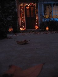 IMG_5323.JPG