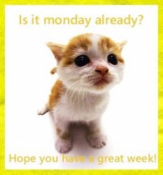Have a great week.jpg