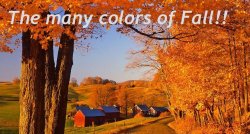 Fall Colors.jpg