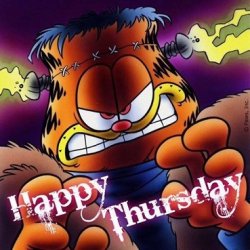 2cabb9e23f7be6808cd3bb3a3fa288f3--garfield-pictures-grumpy-cat.jpg