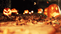 IMG_5388.GIF