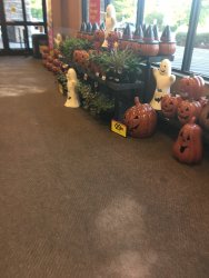 IMG_2686.JPG