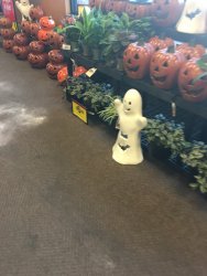 IMG_2687.JPG