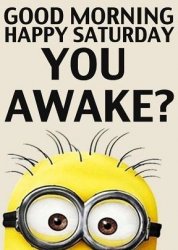 Minion Saturday.jpg