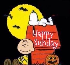 0ee75f90d00a757728ddd3046da257f5--charlie-brown-halloween-peanuts-halloween.jpg