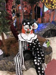 IMG_2261.JPG
