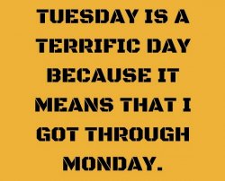 Tuesday Quote.jpg