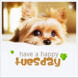 Have-A-Happy-Tuesday.jpg