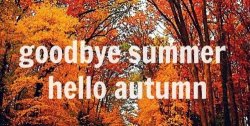 Goodbye Summer.jpg