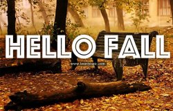 Hello-Fall.jpg