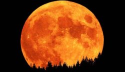 Harvest Moon.jpg