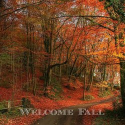 Fall Scenes - Fall Inspiration - Lynda Quintero-Davids - Focal Point Styling (2).jpg