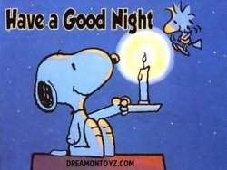 Have a good night.jpg