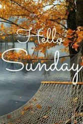 fb73b2f46ce38b46327821c52cf10fa1--blessed-sunday-happy-sunday.jpg