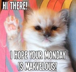 A Marvelous Monday.jpg