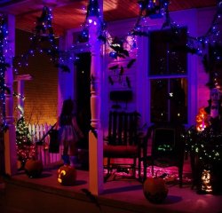IMG_5678.jpg