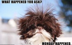 My Monday.jpg