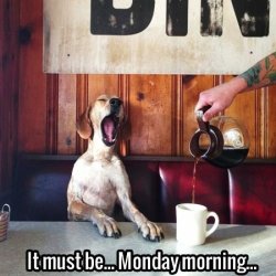 Monday Morning.jpg