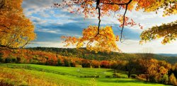 Fall in New England.jpg