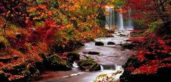 Fall waterfall.jpg